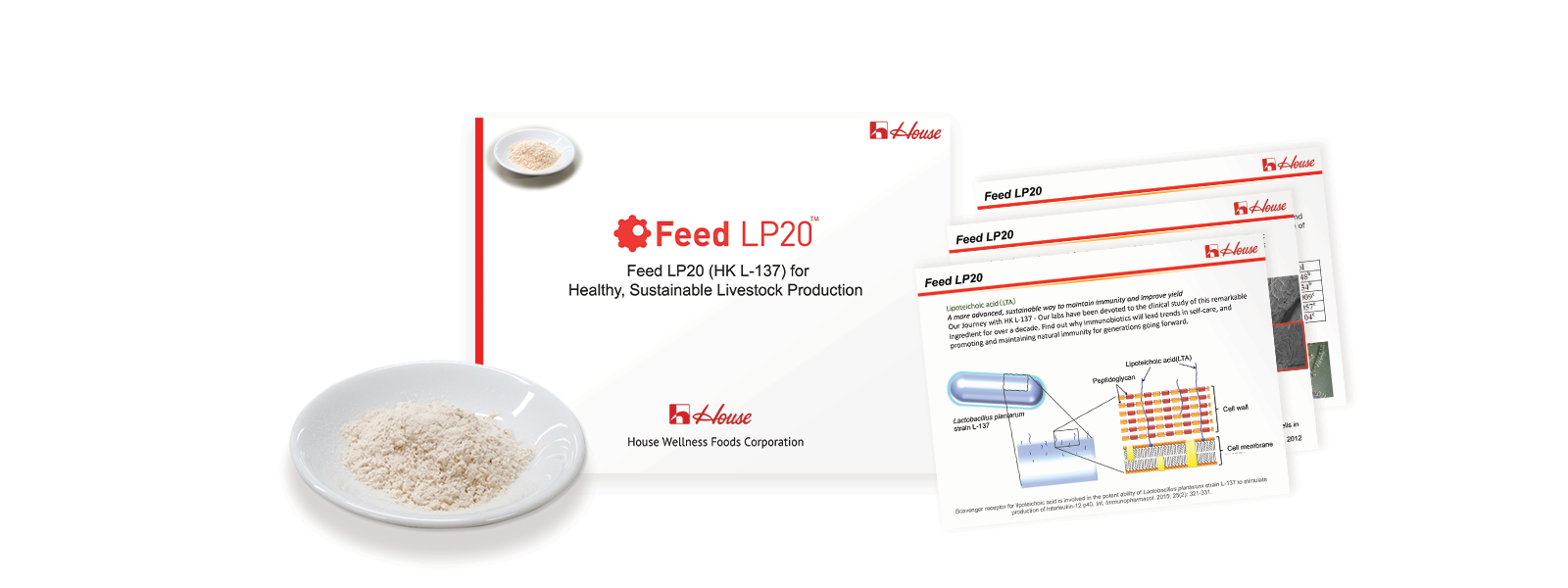 Feed LP20 HK-L137 for healthy, sustainable livestock production